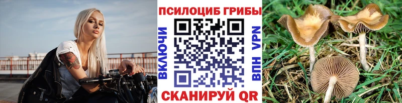 Галлюциногенные грибы MAGIC MUSHROOMS  Котельнич 